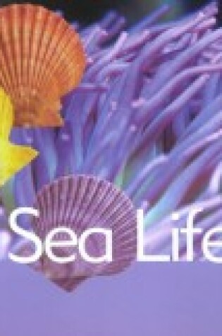 Cover of Sea Life (Ocean Facts)