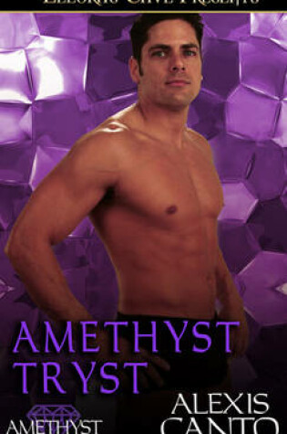 Cover of Amethyst Tryst
