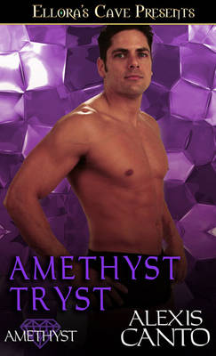 Book cover for Amethyst Tryst