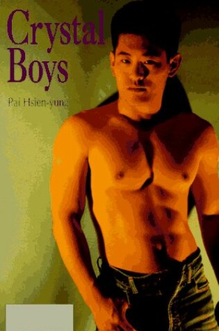 Cover of Crystal Boys