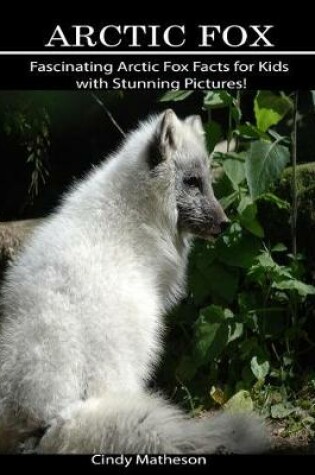 Cover of Arctic Fox