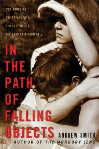 Cover of In the Path of Falling Objects