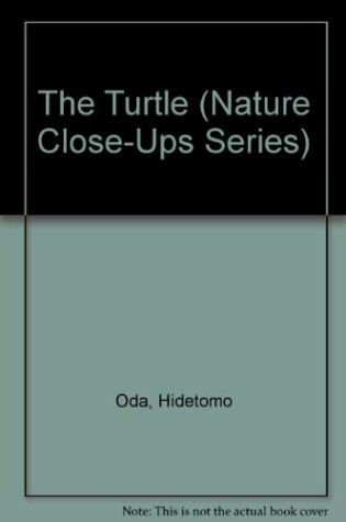 Cover of The Turtle