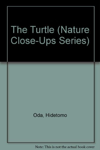 Book cover for The Turtle