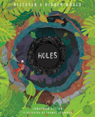 Book cover for Holes