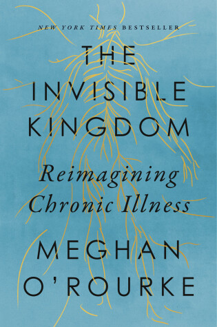 Cover of The Invisible Kingdom