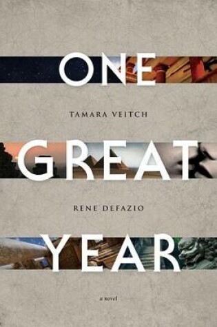 Cover of One Great Year