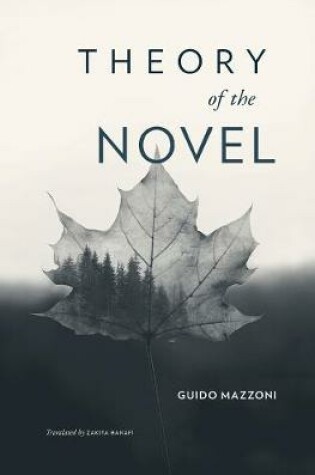 Cover of Theory of the Novel