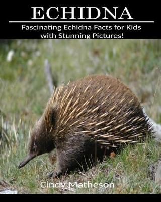 Book cover for Echidna