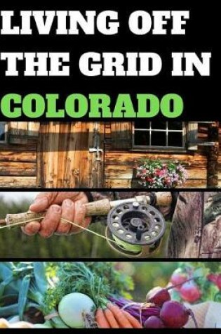 Cover of Living Off the Grid in Colorado