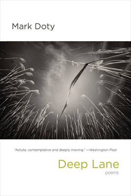 Book cover for Deep Lane