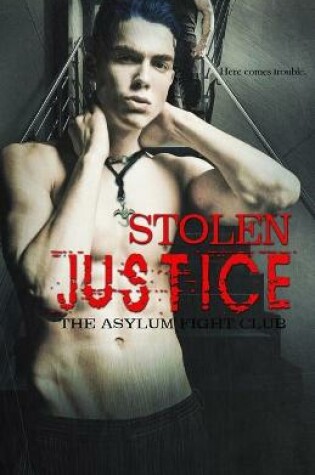 Cover of Stolen Justice