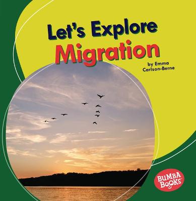 Book cover for Let's Explore Migration