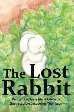 Cover of The Lost Rabbit