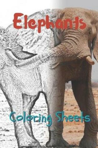 Cover of Elephant Coloring Sheets