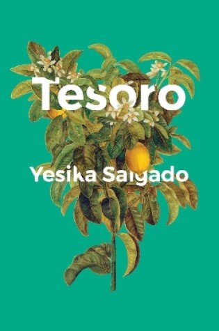 Cover of Tesoro