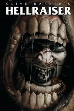 Cover of Hellraiser Volume 4