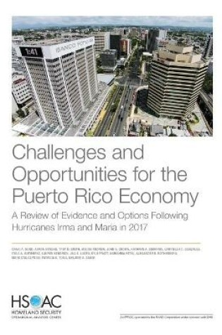 Cover of Challenges and Opportunities for the Puerto Rico Economy