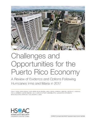 Book cover for Challenges and Opportunities for the Puerto Rico Economy