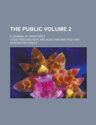 Book cover for The Public; A Journal of Democracy Volume 2