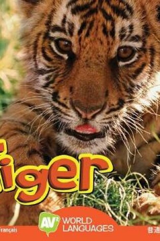 Cover of Tiger