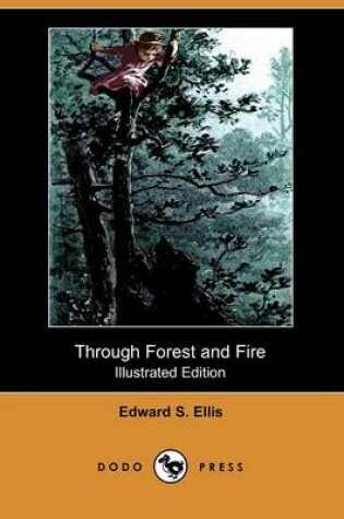 Cover of Through Forest and Fire(Dodo Press)