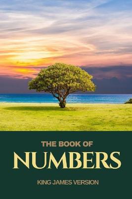 Book cover for The Book of Numbers