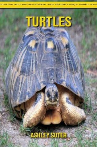 Cover of Turtles