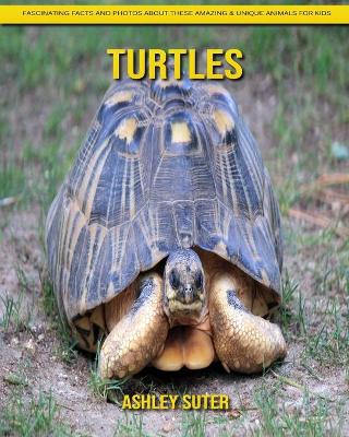 Book cover for Turtles