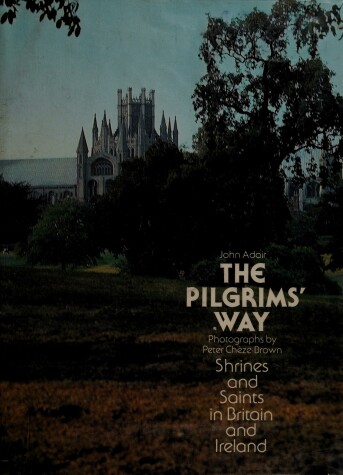 Book cover for Pilgrim's Way