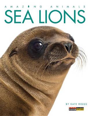 Cover of Amazing Animals: Sea Lions