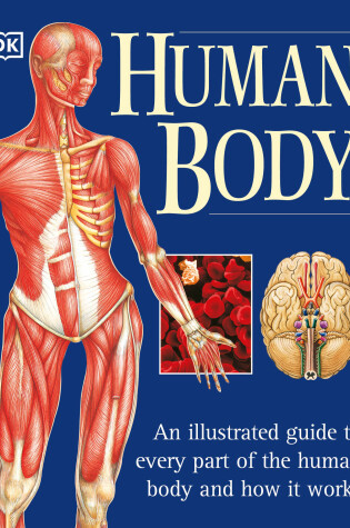 Cover of The Human Body