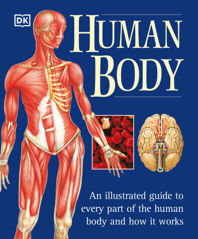 Cover of The Human Body