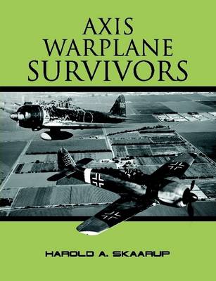 Book cover for Axis Warplane Survivors