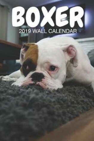 Cover of Boxer 2019 Wall Calendar