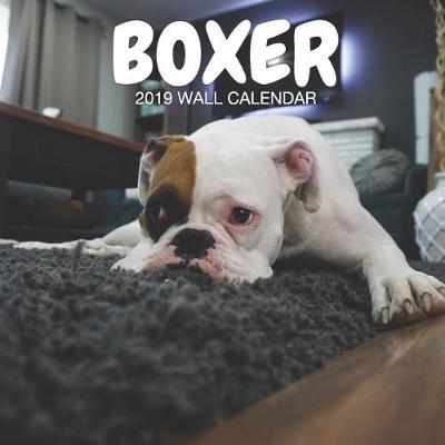 Book cover for Boxer 2019 Wall Calendar