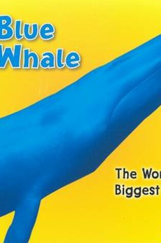 Cover of Blue Whale