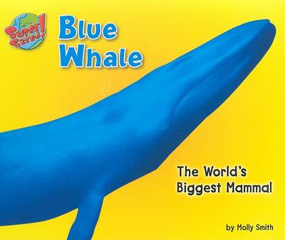 Book cover for Blue Whale