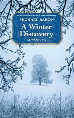 Book cover for A Winter Discovery