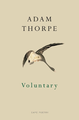 Book cover for Voluntary