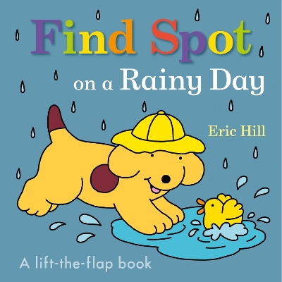 Book cover for Find Spot on a Rainy Day