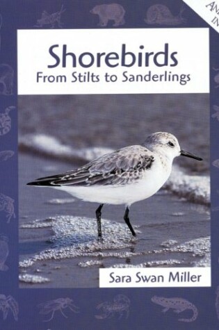 Cover of Shorebirds