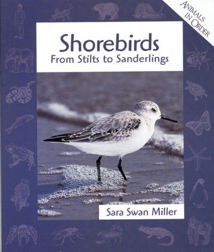 Book cover for Shorebirds