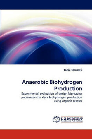 Cover of Anaerobic Biohydrogen Production