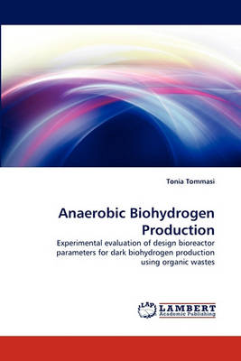 Book cover for Anaerobic Biohydrogen Production