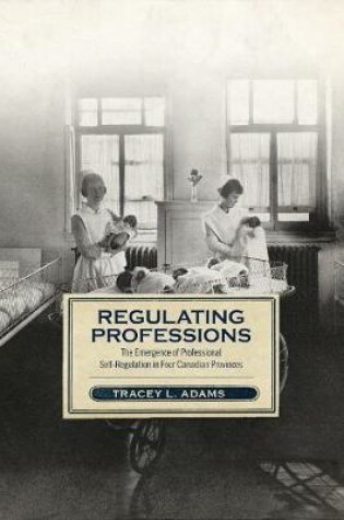 Cover of Regulating Professions