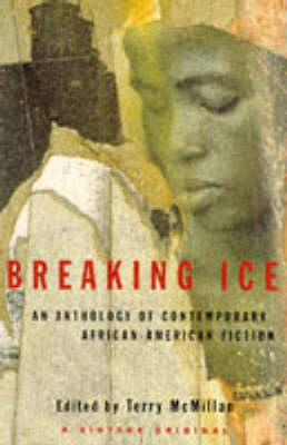 Book cover for Breaking Ice