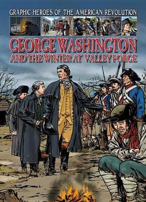 Book cover for George Washington and the Winter at Valley Forge