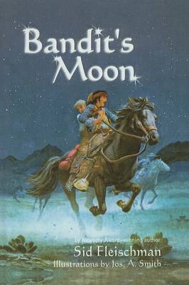 Book cover for Bandit's Moon