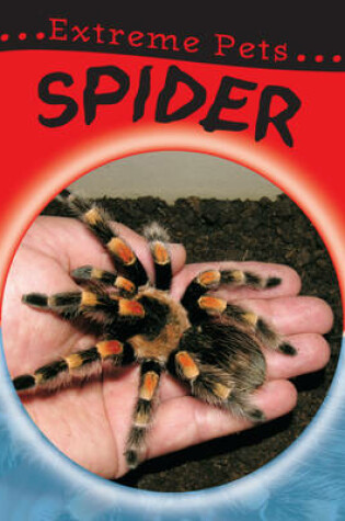 Cover of Spider